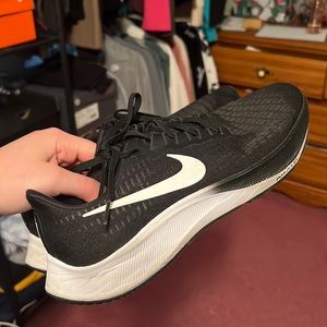 Nike zoom Pegasus